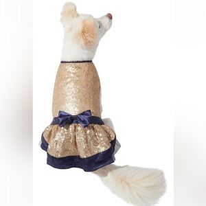 Frisco Gold Sequin Dog & Cat Dress